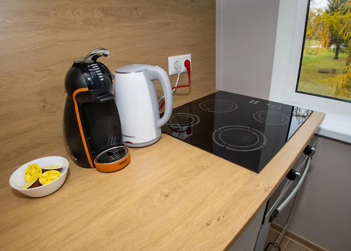 Obinitsa Apartment アパート Obinitsa